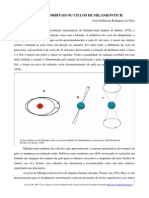 Cicloestratigrafia e Milankovith