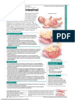PDF Pat 020812