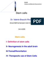 Stem Cells: Dr. Valerie Bracchi-Ricard