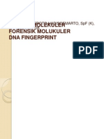 Dna Fingerprint