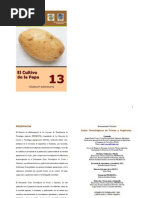 Download El cultivo de la papa en Honduras by Jorge Luis Alonso G SN24830305 doc pdf