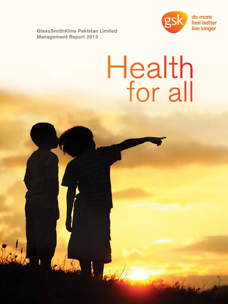 GSK Annual Report 2013 PDF PDF