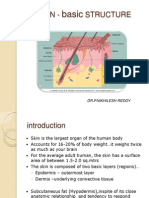 Skin Structure and Development