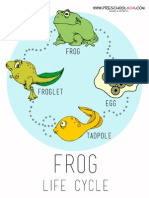 Frog Cycle Chart