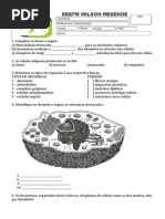 Diagnostica 8ª Serrie_2014