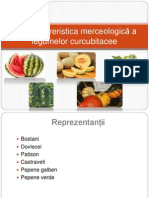 Caracreristica Merceologica A Legumelor Curcubitacei