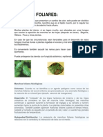 8_manchas_foliares.pdf