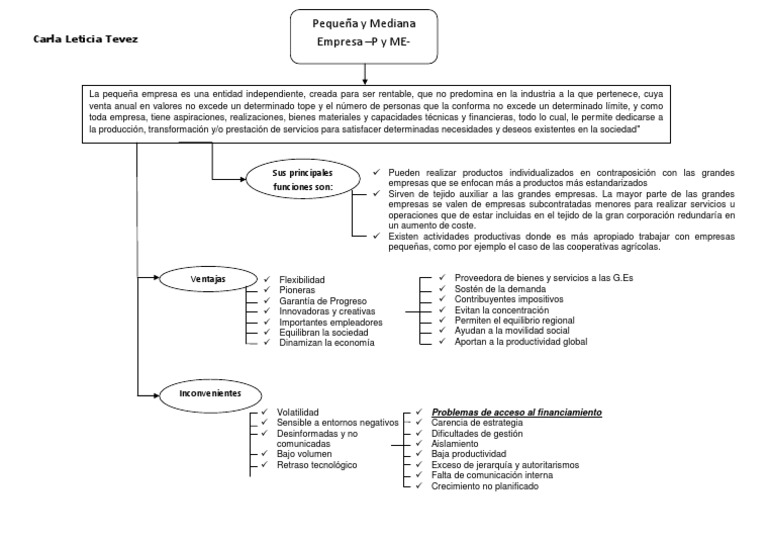 Cuadro Sinoptico de Pymes