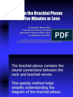 Learn The Brachial Plexus in Five Minutes or Less