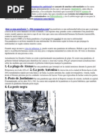 CONCECUENCIAS AMBIENTALES