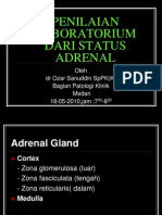 Aspek Lab Adrenal Glen