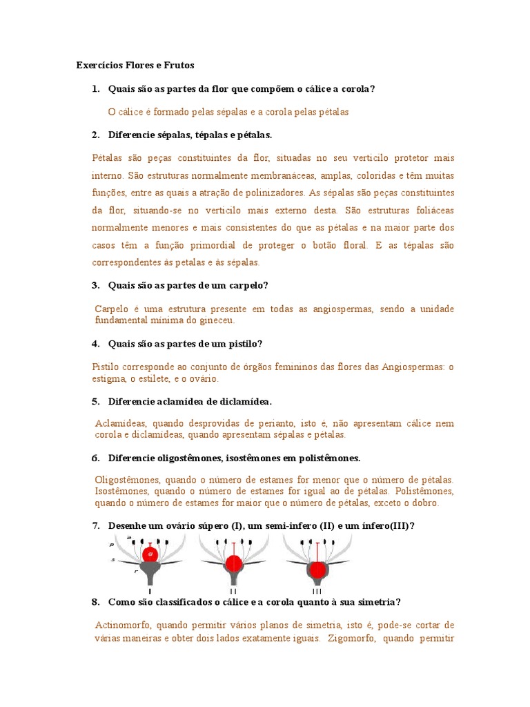 Exercício Respondido Sobre Flores e Frutos | PDF | Fruta | Plantas