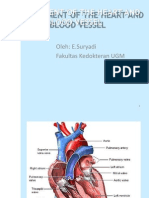 Cardio Vas Develompent