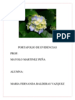 Portafolio de Evidencias