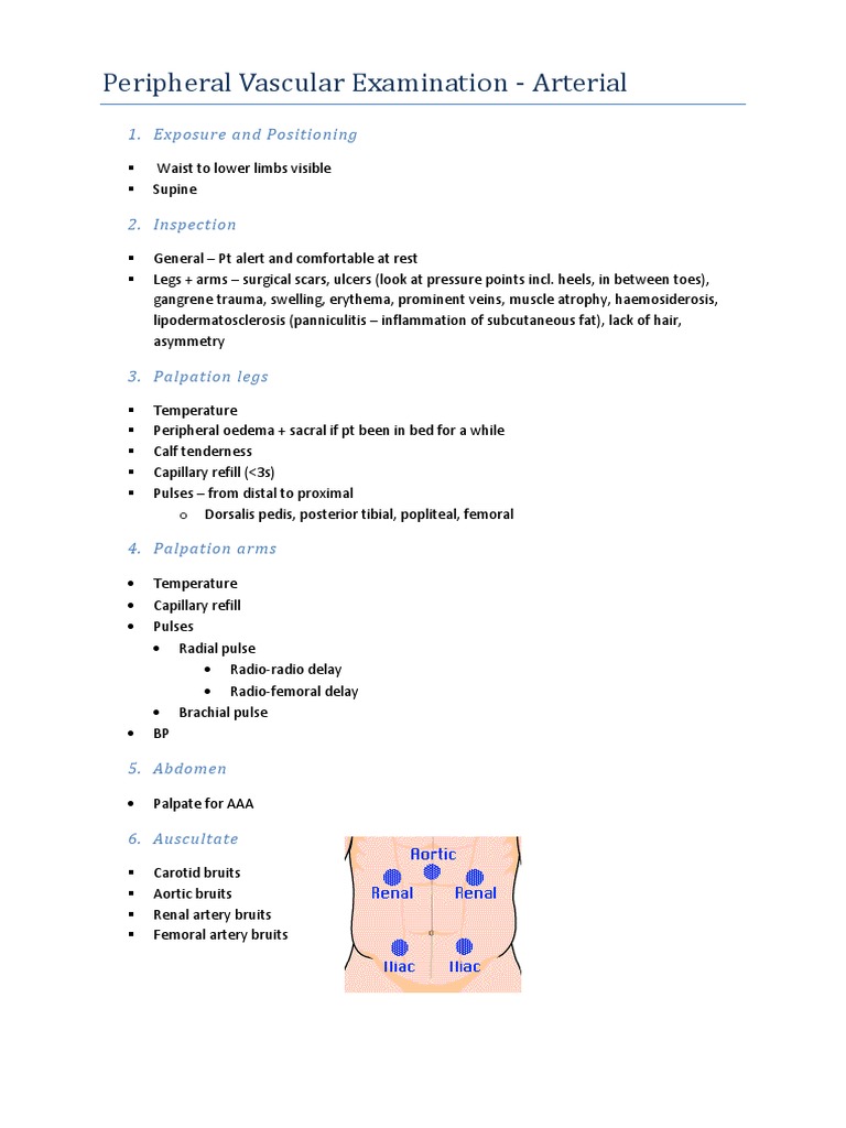 Arterial Peripheral Vascular Exam Guide | PDF