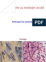 Bacteriozele Cu Evolutie Acuta.obiectul Si Sarcinele Morfopatologiei Speciale.L.P.1 (2)