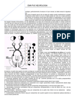 Emn Puc Neurologia PDF