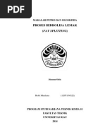 Download Makalah Fat Splitting by Robi Maulana SN248408824 doc pdf