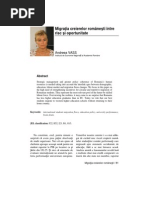 Fenomenul Migraţiei Externe În Rândul Tinerilor Din România