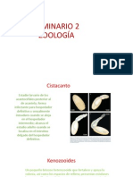 Presentación Seminario 2 Zoología