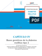 diabetes mellitus, protocolos sobre bases geneticas de la dm2