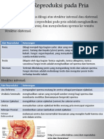 IBD B3-PPT Individu Topik 2-Ellen Teora