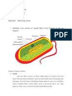 Struktur dan Fungsi Sel Bakteri