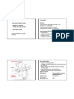 4 Vitamini I Eritropoeza PDF