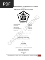 Download Laporan Praktikum DASLINTAN Kerusakan Tanaman oleh Pengganggu by Gracebylimbong SN248454601 doc pdf