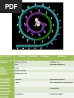 Desenvolvimento Fetal