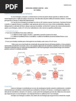 Resumo Arcos Faríngeos