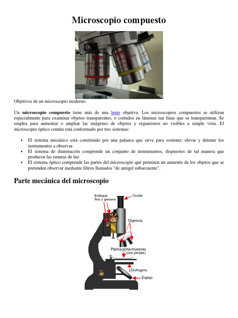 Microscopio Compuesto | PDF | Óptica | Radiación electromagnética