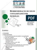 Ecologia - Biorremediação.pptx