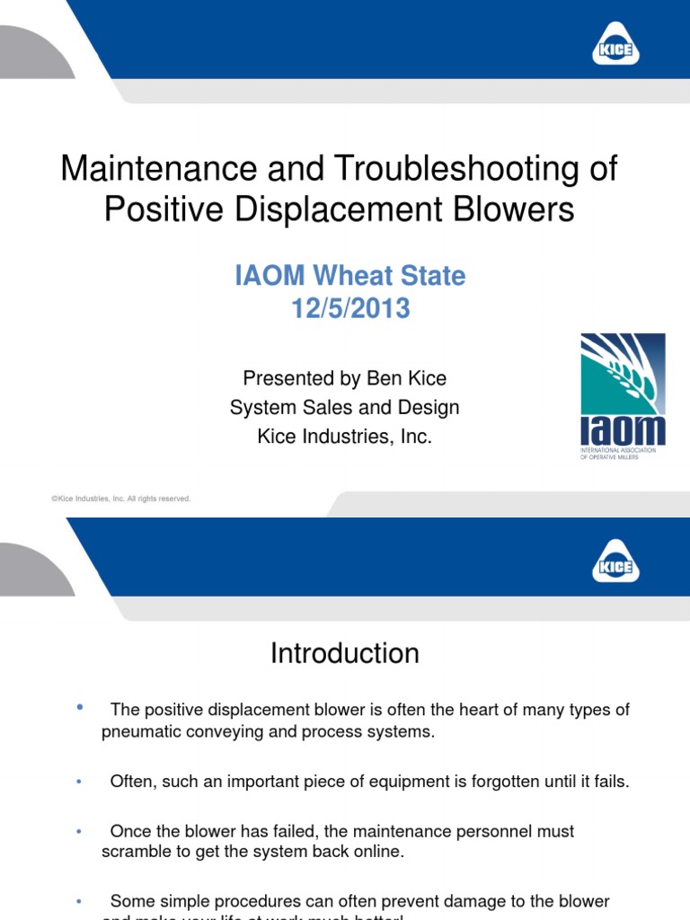 Positive Displacement Blower Maintenance Guide | PDF