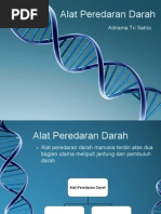 Download Alat Peredaran Darah by Adirama Tri Satrio SN24848527 doc pdf