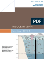 The Ocean Depth PDF