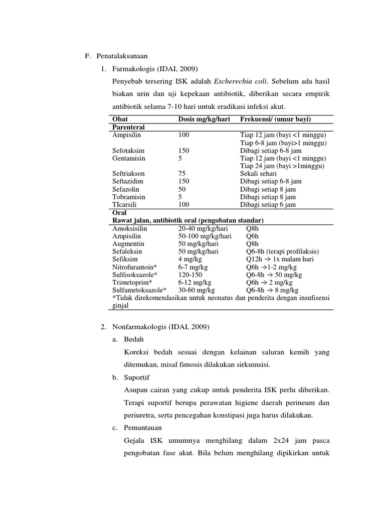 Tatalaksana ISK pada Anak dan Terapi | PDF