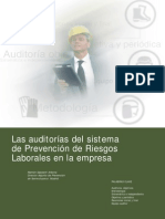 Auditoria Del Programa de Salud Ocupacional PDF