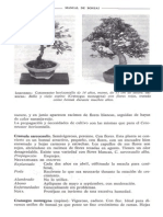 Libro Manual de Bonsai Anne Swinton 172