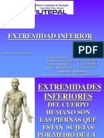 Diapositiva Sistema Muscular Extremidades Inferiores Enfermeria 2 SEMESTRE SECCION C