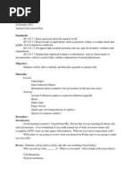 Animal Cell Lesson Plan Teaching