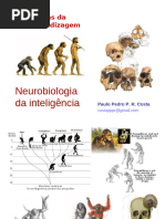 Neurobiologia da inteligência