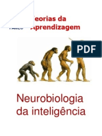 Neurobiologia Da Inteligência