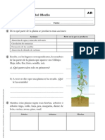 Fichas CM 2 Trimestre