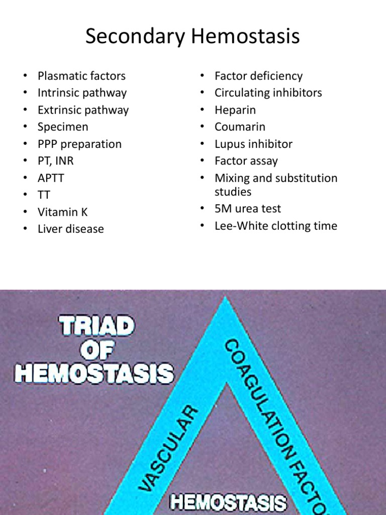 Secondary Hemostasis | Coagulation | Molecular Biology