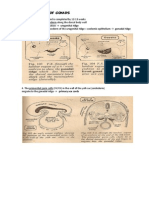 GENITAL EMBRYOLOGY.pdf