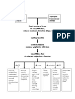 Pathophysiology-leptospirosis