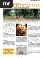 Informativo Gethsêmani