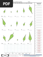 Line Plots Day 1 4 MD 2 4