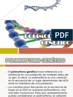 Polimorfismo  ADN